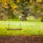 Swing in the garden